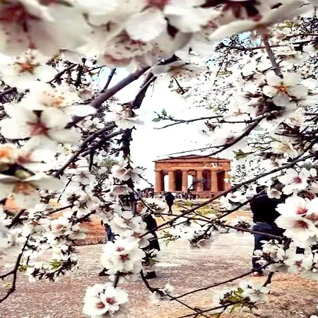 Le Giare Apartman Agrigento