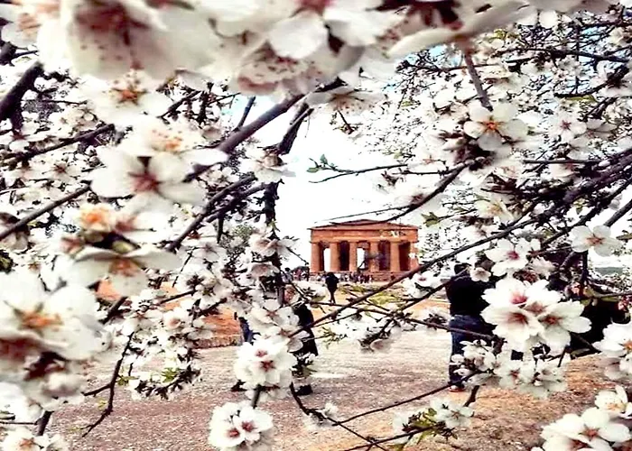 Le Giare Appartement Agrigento